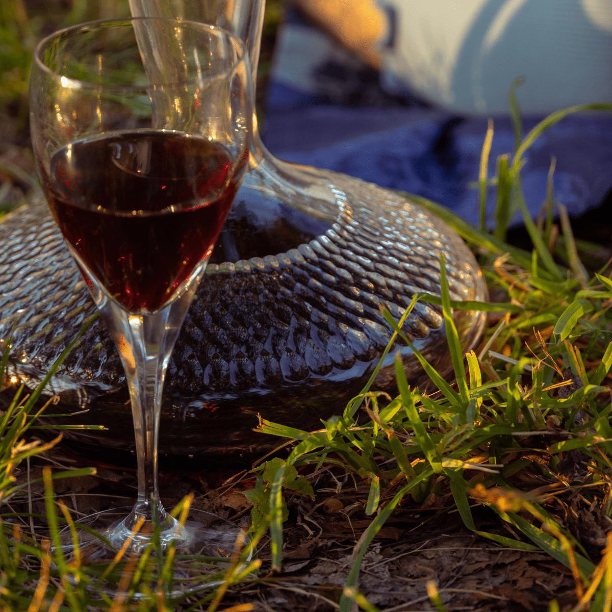Longchamp Verre à vin rouge