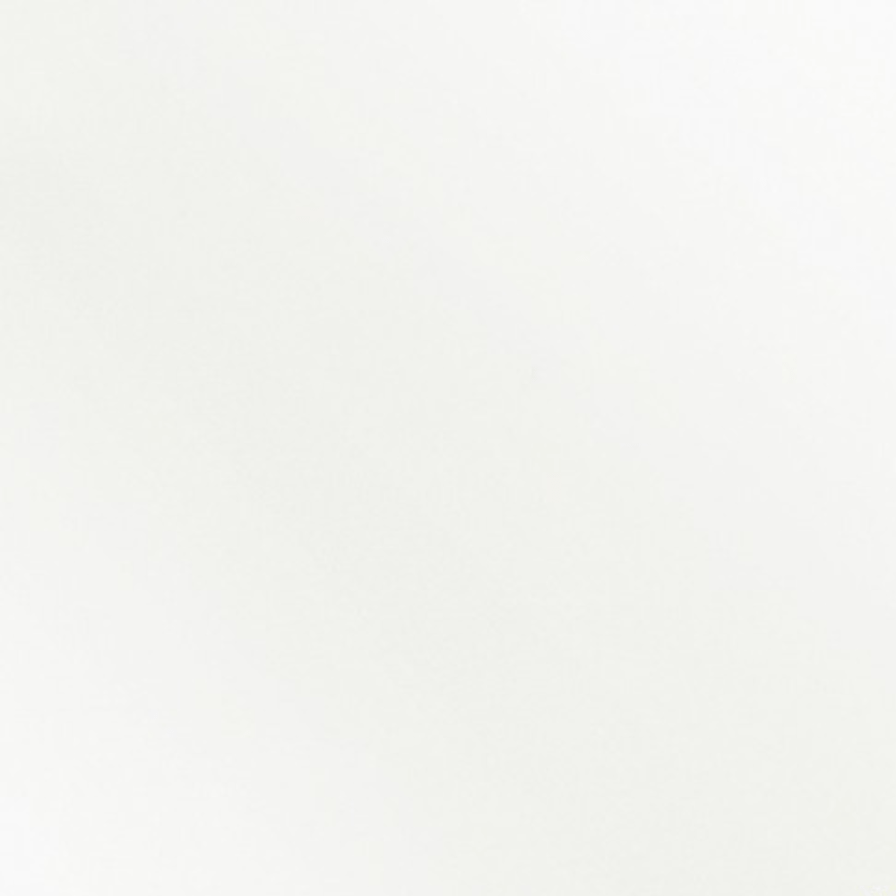 Napoléon Blanc Set de 16 pions