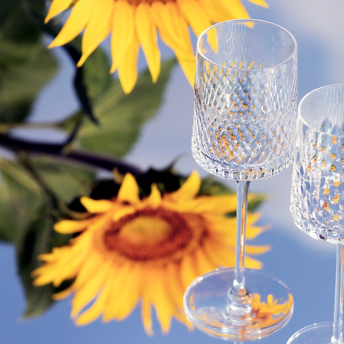 Circé Verre à eau