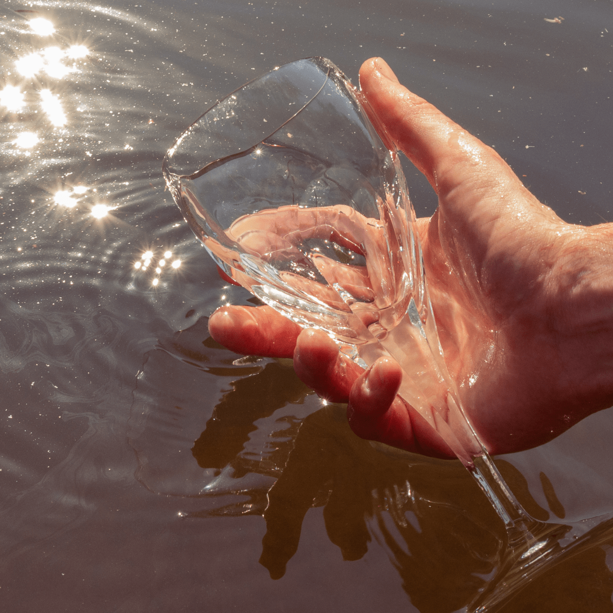 Longchamp - Verre à eau - Cristallerie de Montbronn - 