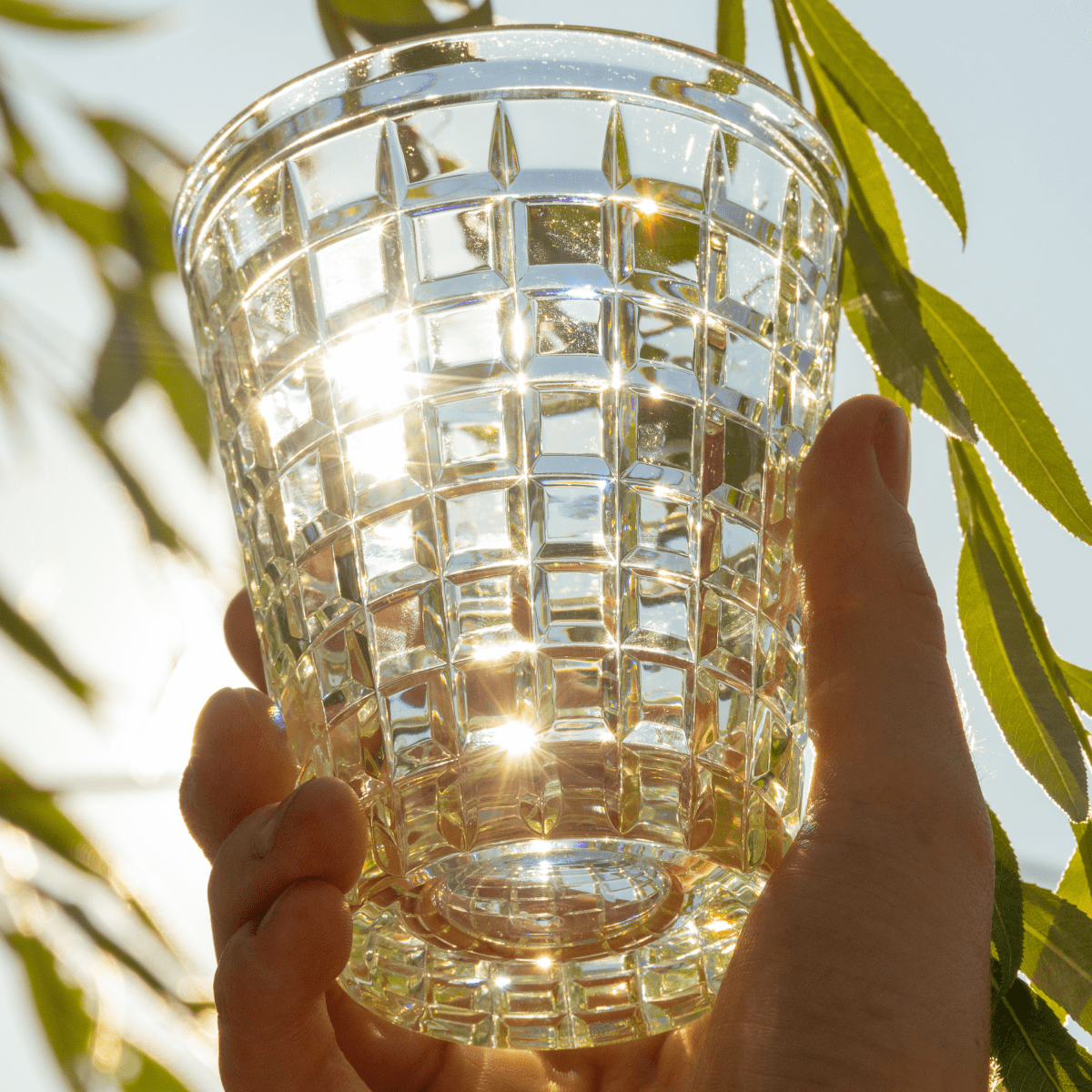 Ozaka Chope haute Tumbler